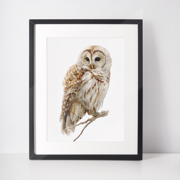 Watercolor Barred Owl Portrait Wall Art Print, Unframed - Mystical Woodland - Picture 3 of 6